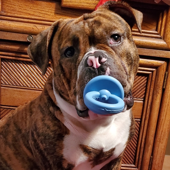 Meet your Posher, Cassondra - Picture 2 of 4